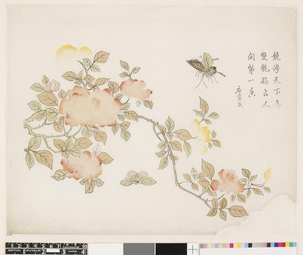 图片[2]-print BM-1932-0711-0.4-China Archive